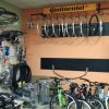 https://podravinaprigorjebike.com/wp-content/uploads/2017/12/Ranogajec-4-100x100.jpg