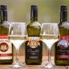 https://podravinaprigorjebike.com/wp-content/uploads/2017/12/Vinarija-Jušta-4-100x100.jpg