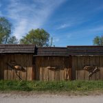 https://podravinaprigorjebike.com/wp-content/uploads/2026/08/gola_dragutin_ciglar-03-150x150.jpg